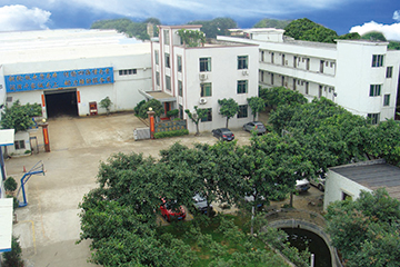 Overall View