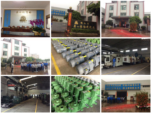 Back to work after Chinese Spring Festival