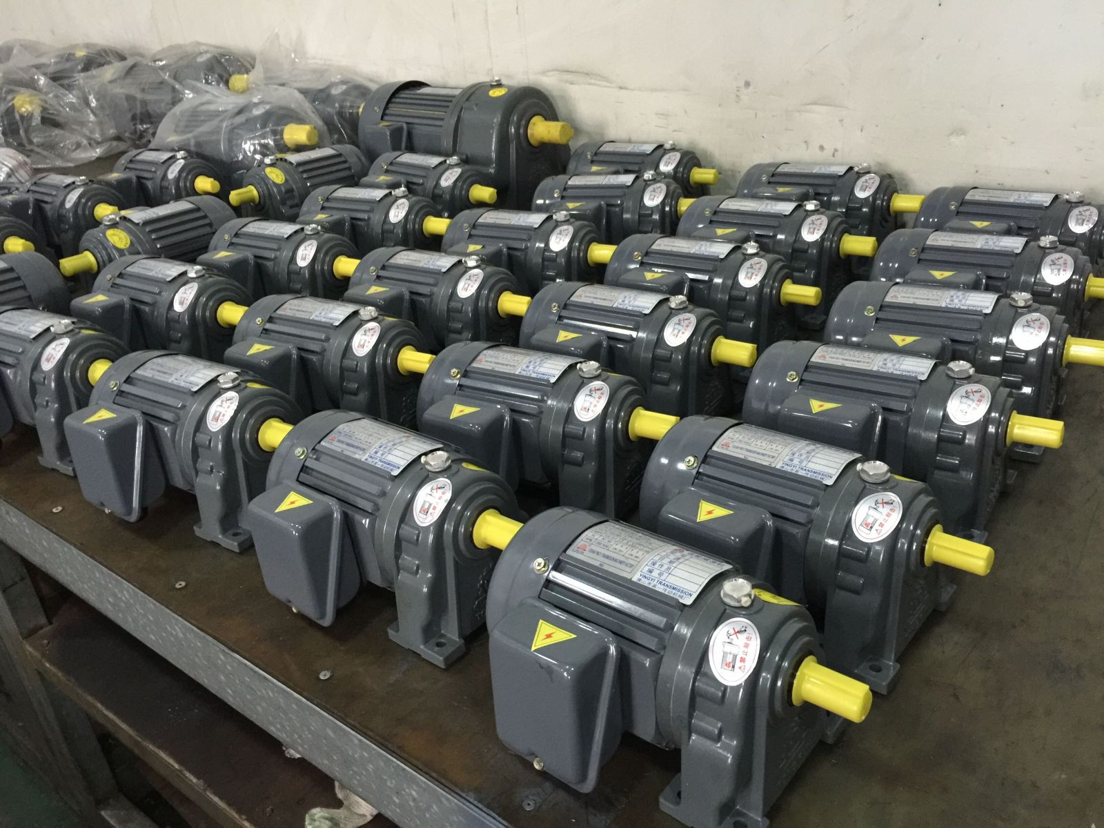 100W gear motor