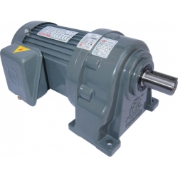 Inline Helical Gear Motor Reducer CH18 CH22 CH28 CH32 CH40 CH50