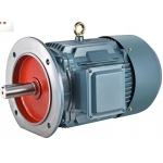 2.2KW / 3HP Three Phase AC Induction Motor