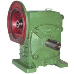 WPDS250 Worm Gearbox Speed Reducer