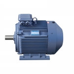 315KW / 430HP Three Phase AC Induction Motor