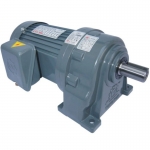 220VAC single phase gear motor reducer
