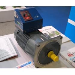 vertical gear motor with converter